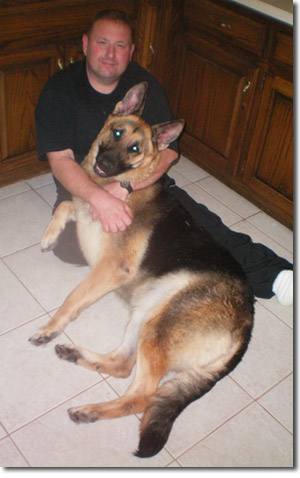Minnie - German Shepherd