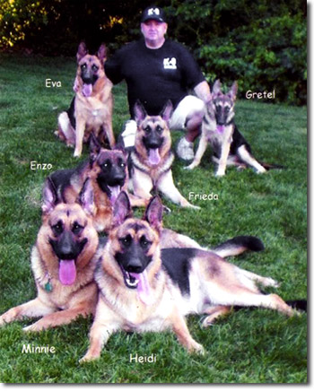 Long Island Dog Training for all Breeds on Long Island